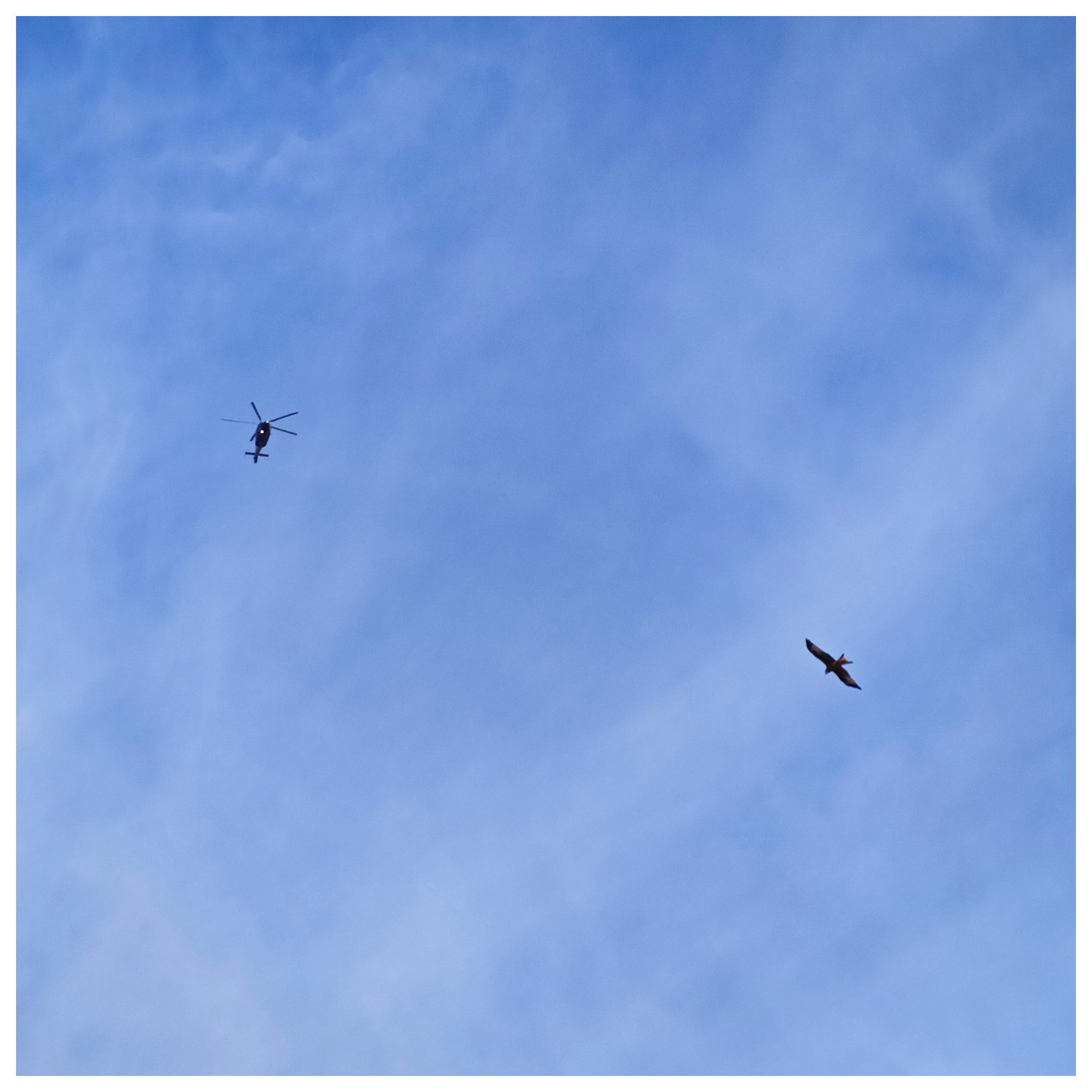 A view of the sky with a long range view of a helicopter and a large bird