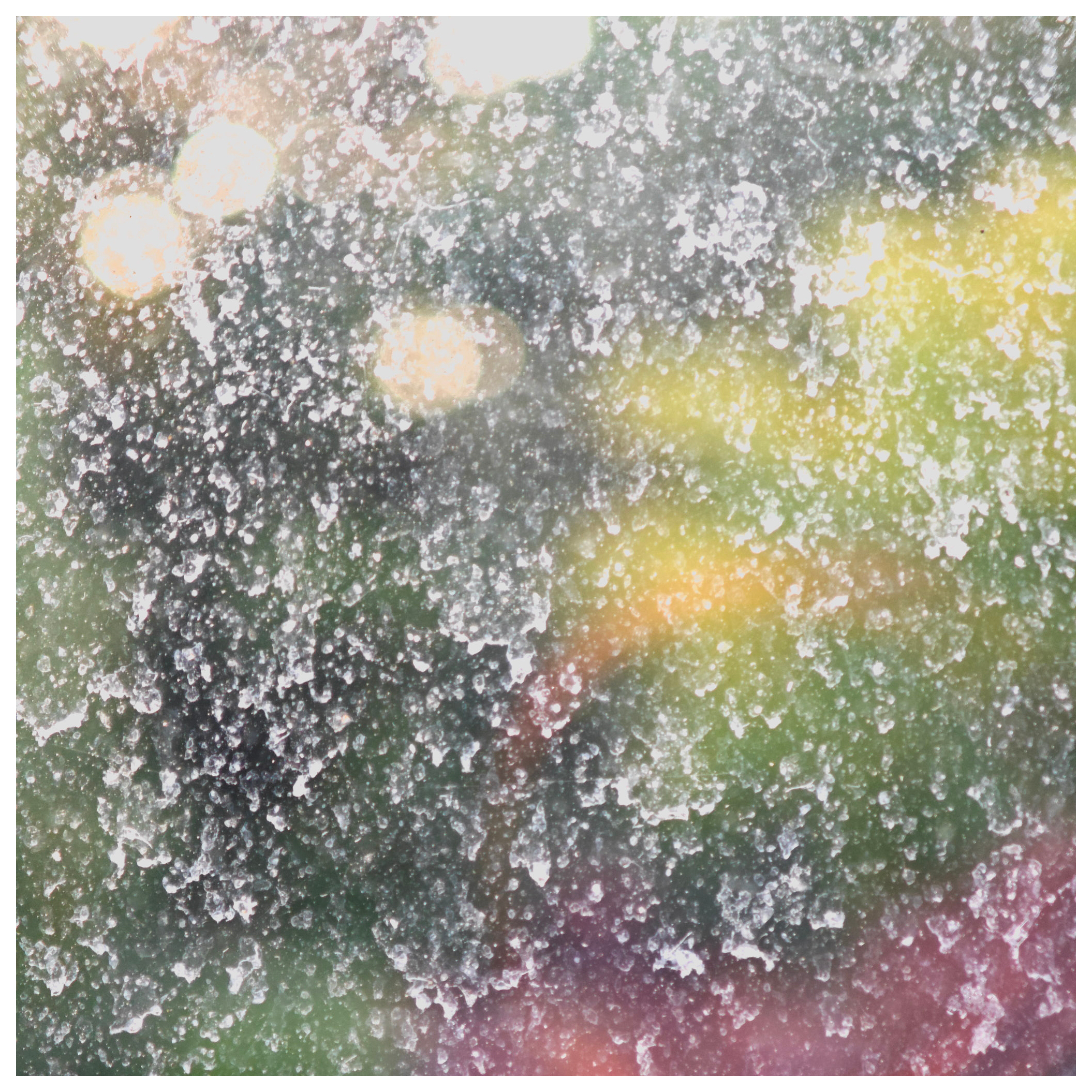 Close up image of a dirty window looking out onto a blurred garden