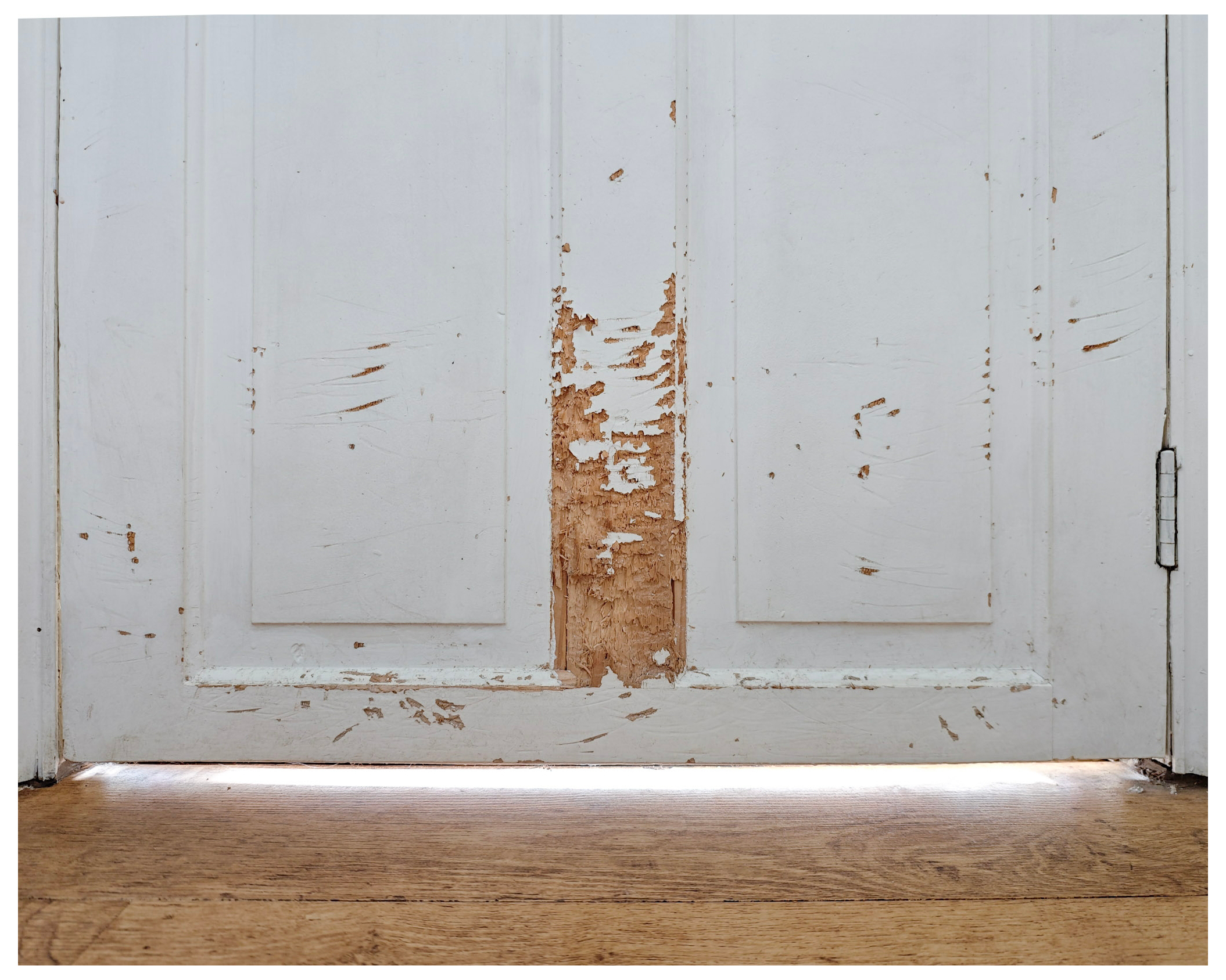 Image of the bottom portion of an internal door that has been damaged by a dog scratching and biting it