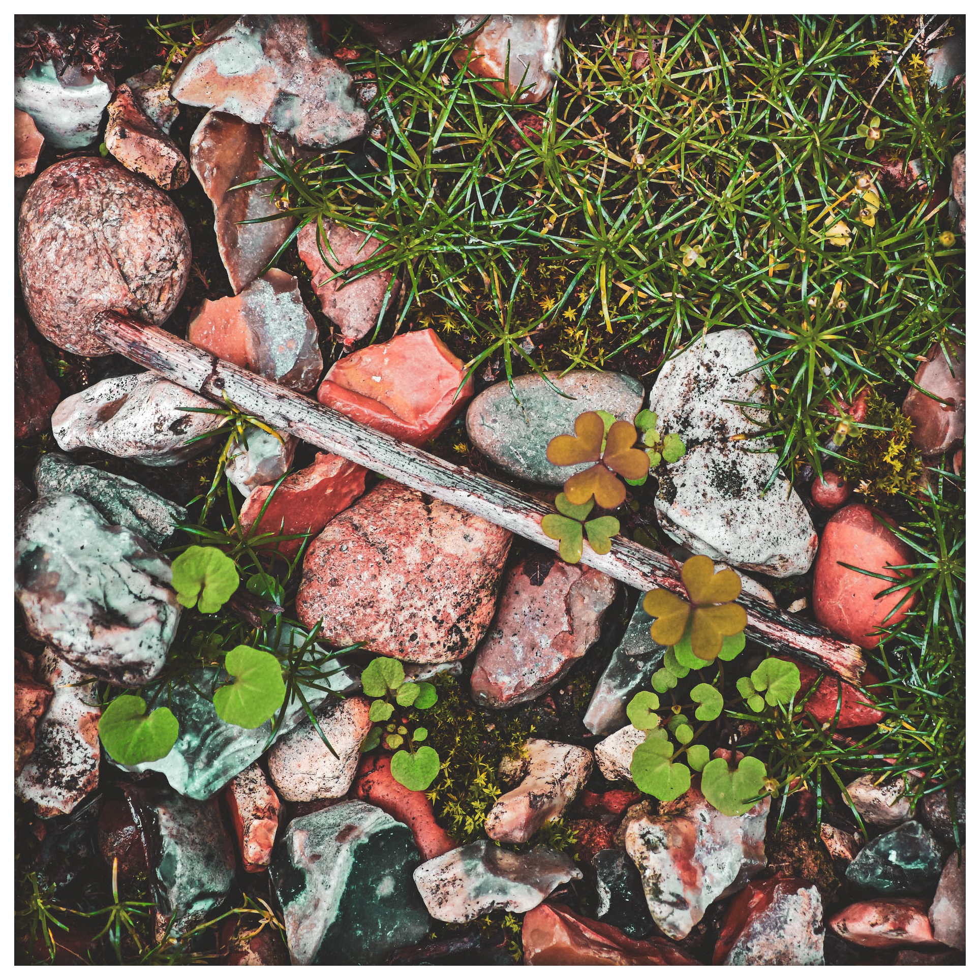 A close up of stones, grass and weeds on a driveway